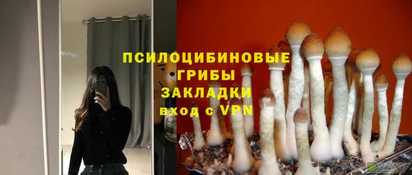 бутират Козловка