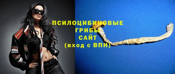 a pvp Козельск